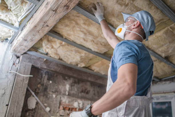 Best Spray Foam Insulation in Roxborough Park, CO
