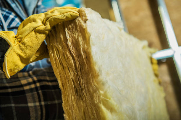 Best Insulation Maintenance and Repair in Roxborough Park, CO