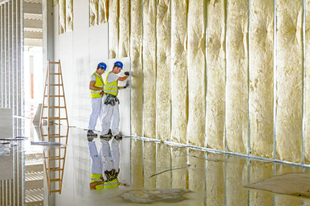 Types of Insulation We Offer in Roxborough Park, CO